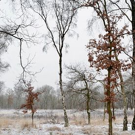 Holländischer Winter von Dorien van Witteveen