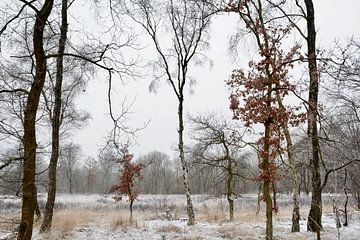 Hollandse Winter van Dorien van Witteveen