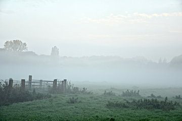 Natuurschoon in de mist