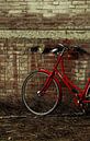 Op de fiets by Lisanne Schuiling thumbnail
