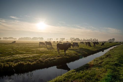 Mistige zonsopkomst in de Alblasserwaard.