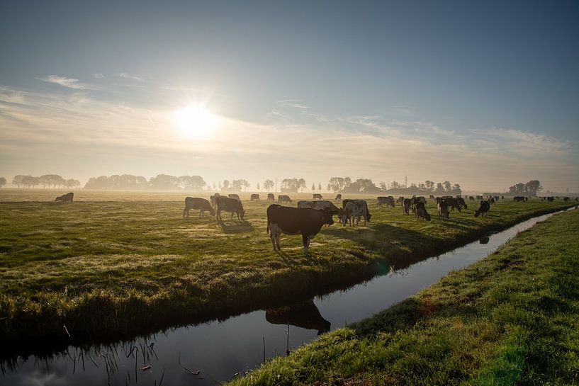 Lever de soleil brumeux à Alblasserwaard. par René von Hout