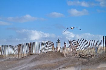 Vuurtoren, strandhek, meeuw