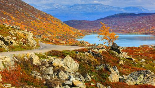 Herfst langs de Gamle Strynefjellsvegen, Noorwegen