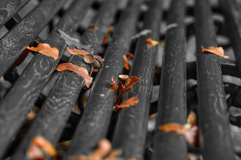 Autumn leaves on a bench in the woods in closeup by Joyce Derksen