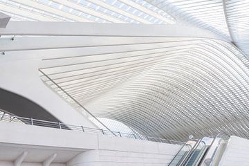 Architectuur Liège-Guillemins, station Luik, ontworpen door Calatrava. van Shaquille Maarschalkerweerd