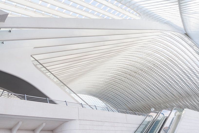 Architecture Liège-Guillemins, Liège station, designed by Calatrava. by Shaquille Maarschalkerweerd