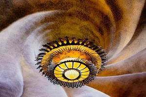 Sun Ceiling Lamp Gaudi Casa Batllo Barcelona Spain