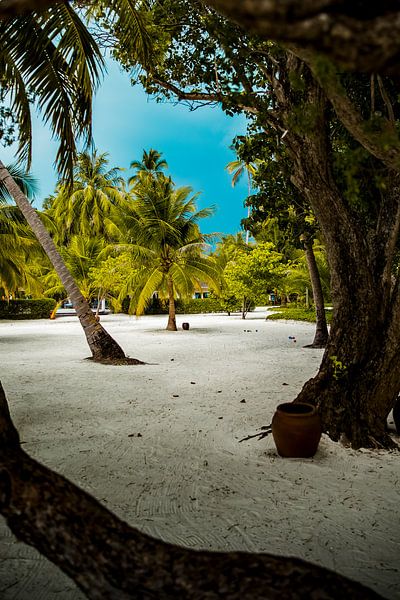 Maldives by Truckpowerr