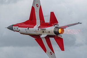 Équipe danoise de démonstration de F-16 en solo 2022 "Dannebrog".