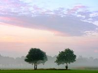De Bomen, Zelhem