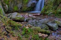 Wasserfall mit Pilzen