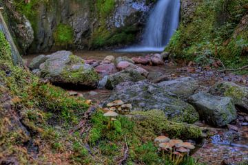 Waterfall with mushrooms by Cor Brugman