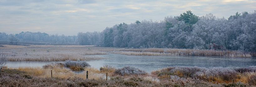Frozen morning by Johan Vanbockryck