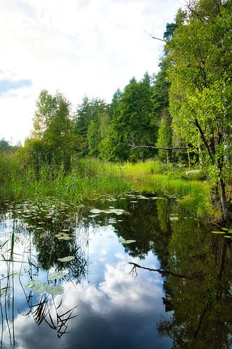 Lake in Sweden with white clouds, blue water and trees on the shore