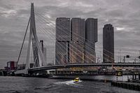 Rotterdam Elements