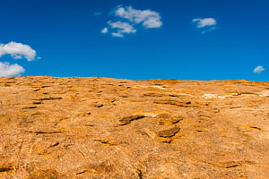 South African ridge