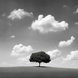 Zwart-wit bomenlandschap - Dramatische natuurfotografie voor moderne woonruimtes van Poster Art Shop