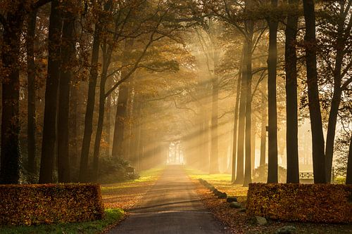 rayons solaires