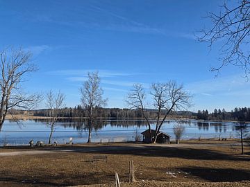 Lake awakens from hibernation