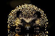 Detailed portrait of golden hedgehog by Imperial Art House thumbnail