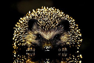 Detailed portrait of golden hedgehog by Imperial Art House