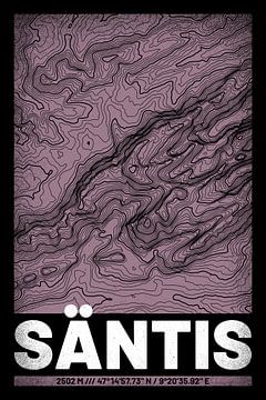 Säntis | Topographie de la carte (Grunge)