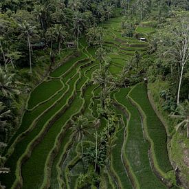 Floortje De kock Profilfoto