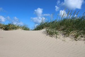 Vagues de sable dans le vent de juin