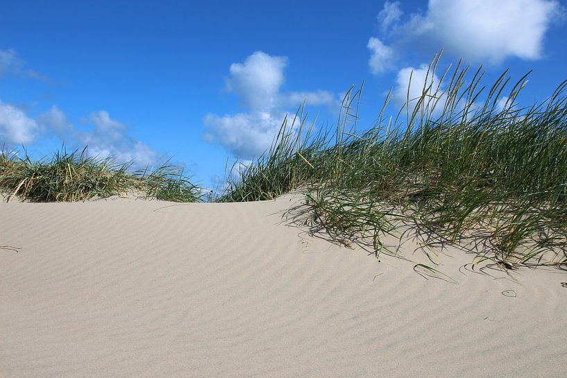 Sandwellen im Juniwind von Ostsee Bilder