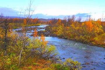 Natural Landscape in Swedish Lapland