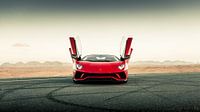 Lamborghini Aventador S Roadster vs. desert roads III van Dennis Wierenga thumbnail