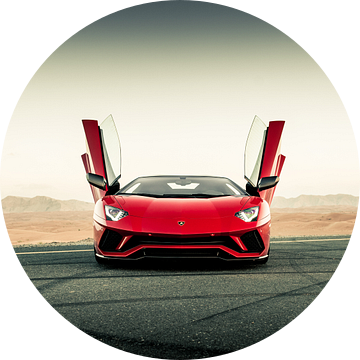 Lamborghini Aventador S Roadster vs. desert roads III van Dennis Wierenga