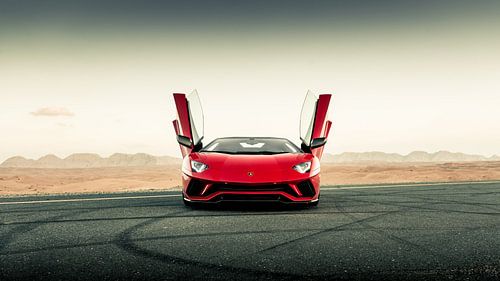 Lamborghini Aventador S Roadster vs. desert roads III