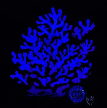 I LOVE POP MARINA - Corallo blu Yves Klein su nero