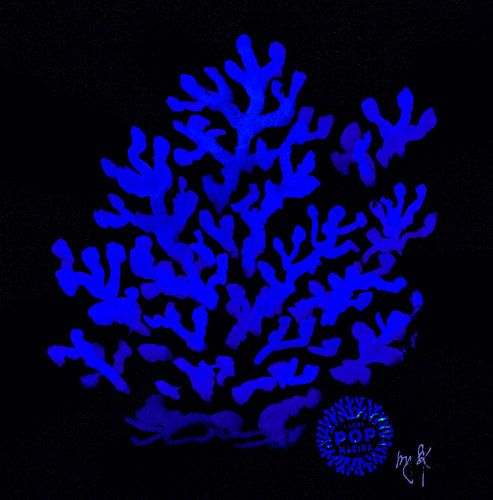 I LOVE POP MARINA - Corallo blu Yves Klein su nero