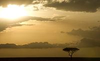 Sunset on the plains of the Masai Mara, Kenya.