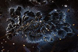 Black ice by Maarten Trybou