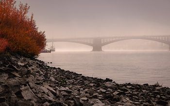 Le pont Theodor Heuss dans le brouillard matinal