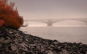 Theodor-Heuss-Brücke im morgendlichen Nebel von sir_pxalot