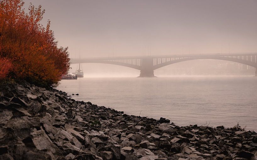 Theodor Heuss Bridge in the morning fog by sir_pxalot