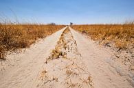 De eindeloze zandweg van Jolene van den Berg thumbnail