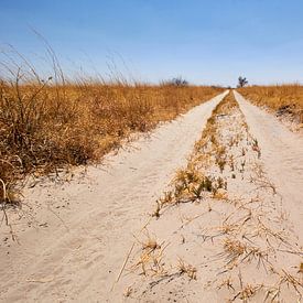 The endless sandy road by Jolene van den Berg