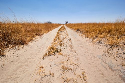 The endless sandy road