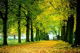 Heeze 36 by Deshamer