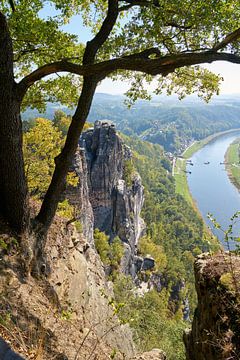Blick auf den Fluss Elbe im Elbsandsteingebirge