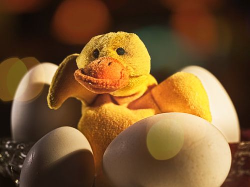 De l'œuf