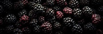 Fresh Blackberries Panorama by Studio XII