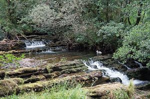 Fowley's Falls in Irland