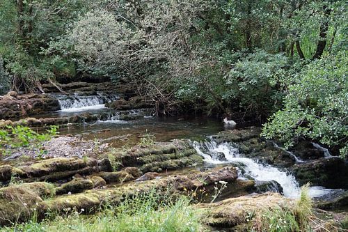 Fowley's Falls in Ierland